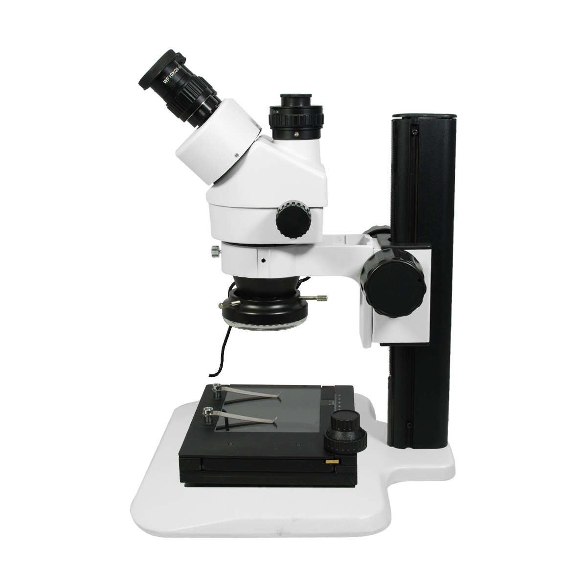 Stereo Microscope